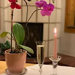 Neue Muehle Kleines Hotel 3*