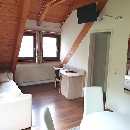 Hotel Neue Muehle Kleines 3*