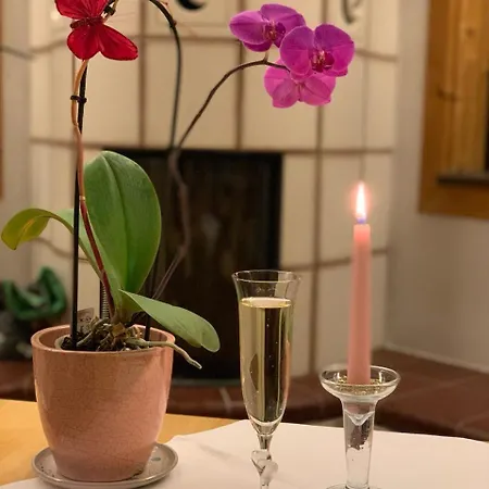 Neue Muehle Kleines Otel 3*