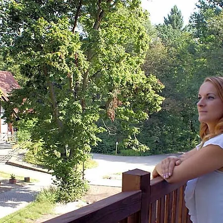 Neue Muehle Kleines Hotel 3*