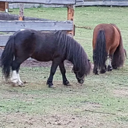 Neue Muehle Kleines Szálloda 3*
