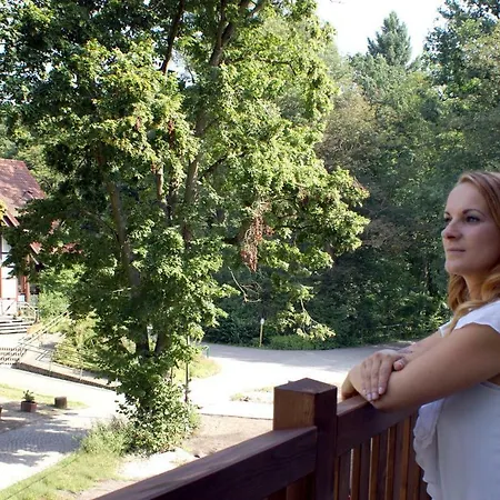 Neue Muehle Kleines Otel 3*