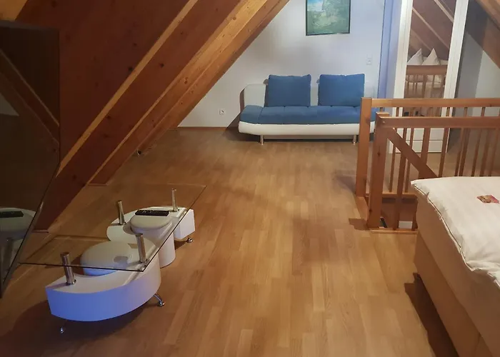 Hotel Neue Mühle Kleines 3*