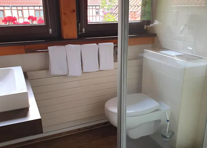 Hotel Neue Mühle Kleines 3*