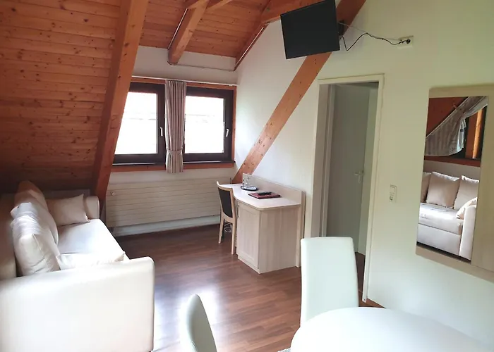 Hotel Neue Mühle Kleines 3*