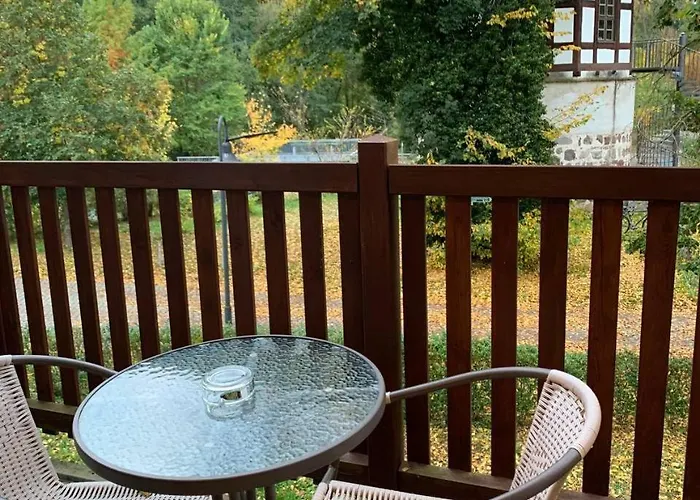 Hotel Neue Mühle Kleines 3*