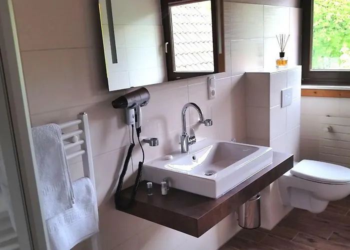 Hotel Neue Mühle Kleines 3*