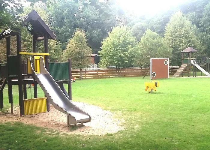 Hotel Neue Mühle Kleines 3*