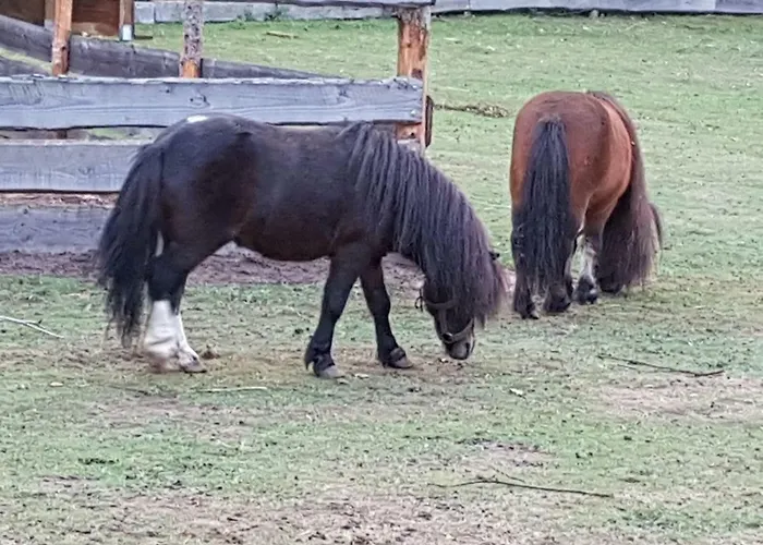 Neue Mühle Kleines Hotel 3*