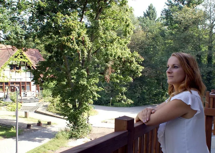 Neue Mühle Kleines Hotel 3*